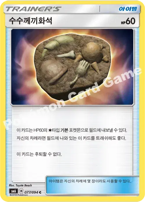 수수께끼화석