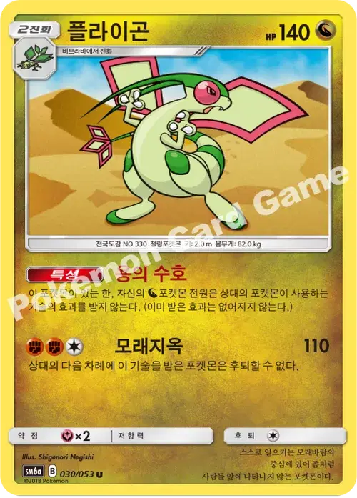 플라이곤