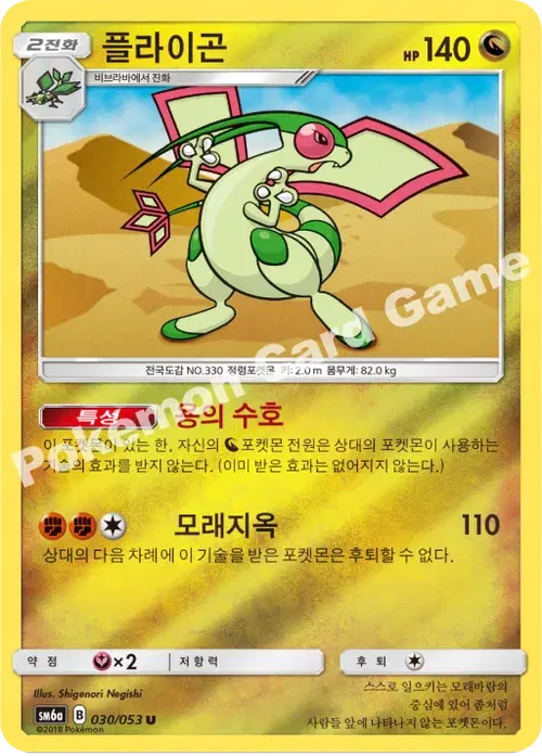플라이곤