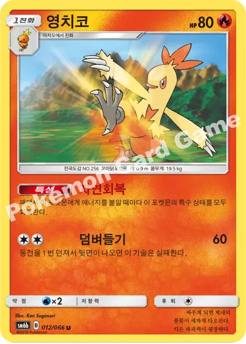 영치코
