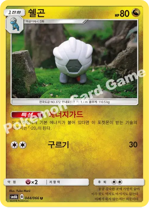 쉘곤