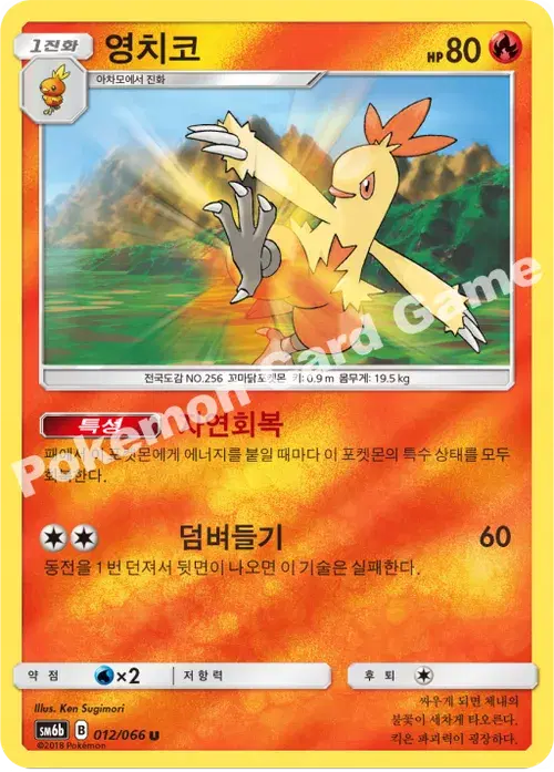 영치코