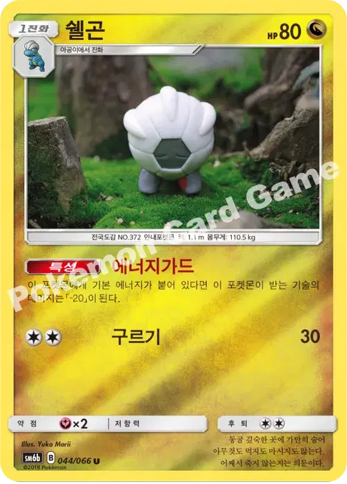 쉘곤
