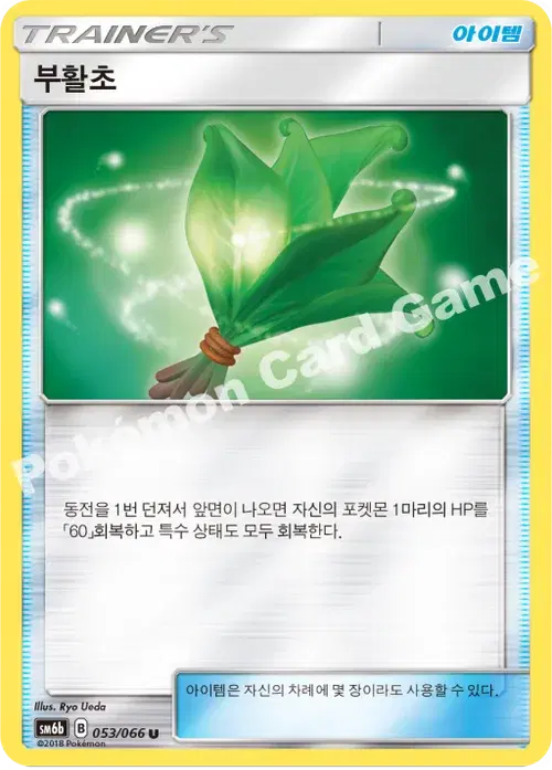 부활초