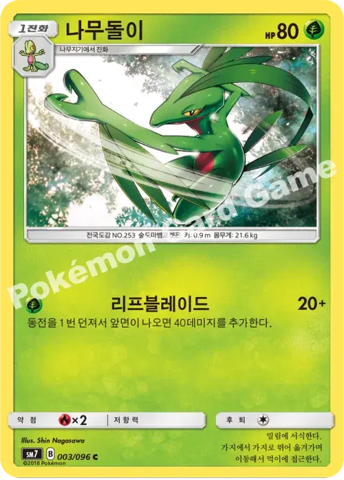 나무돌이