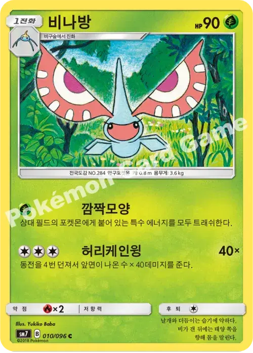 비나방