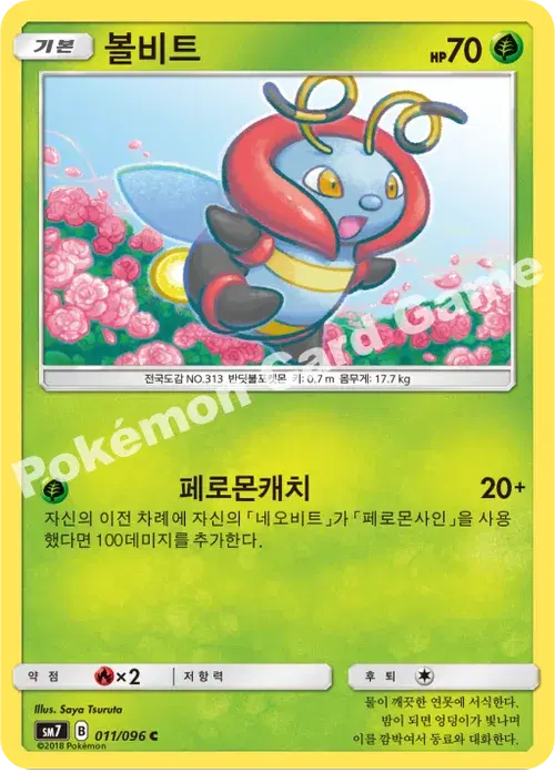 볼비트