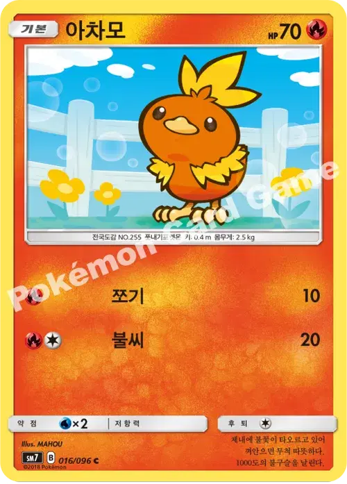 아차모