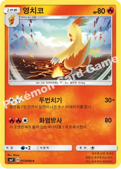 영치코