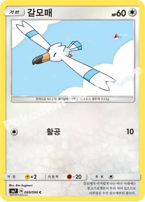 갈모매