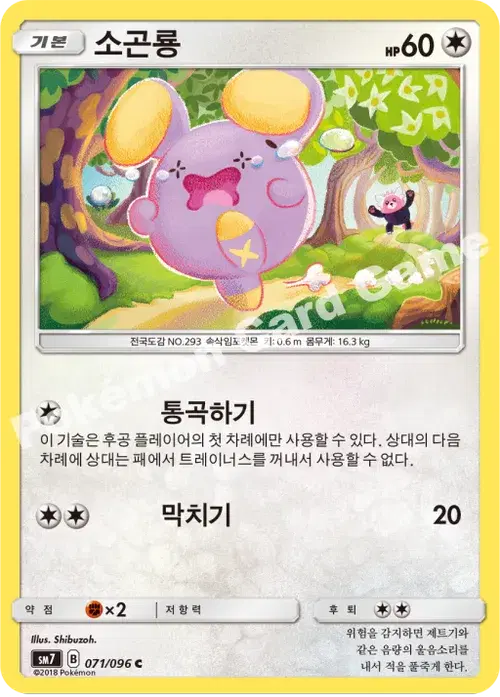 소곤룡
