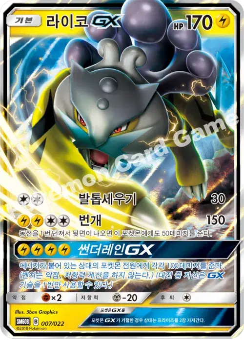 라이코 GX