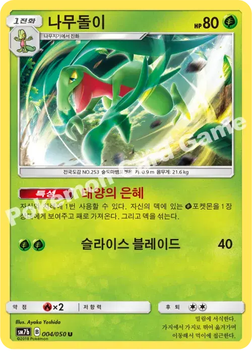 나무돌이