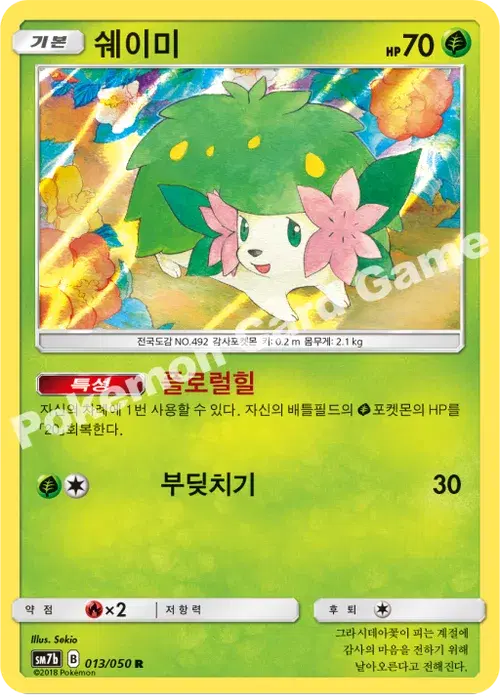 쉐이미