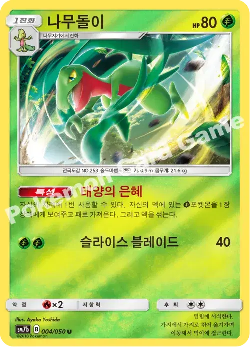 나무돌이
