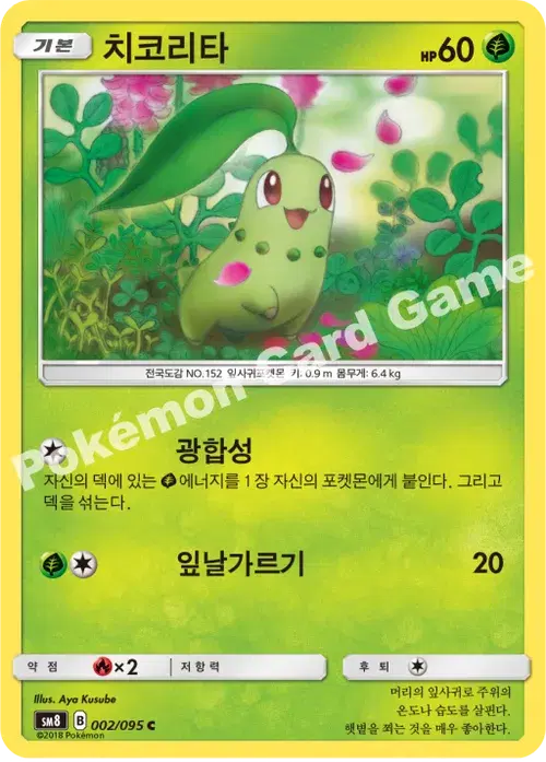 치코리타