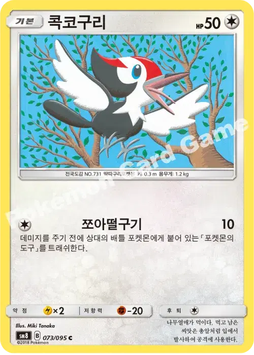 콕코구리