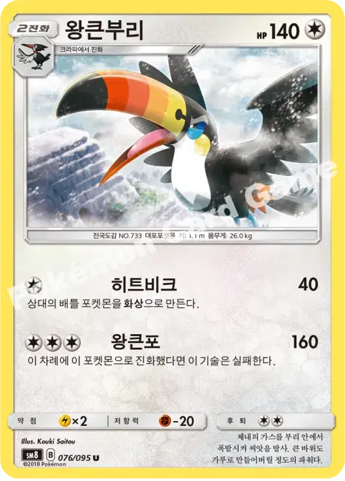 왕큰부리