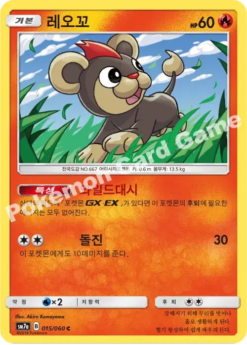 레오꼬