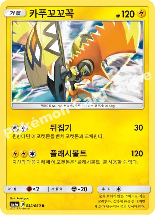 카푸꼬꼬꼭