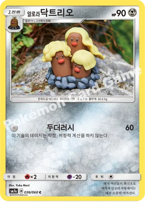 알로라닥트리오
