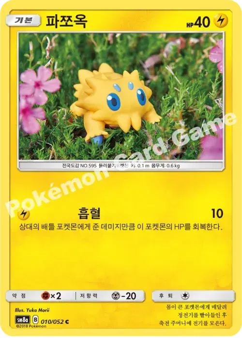 파쪼옥