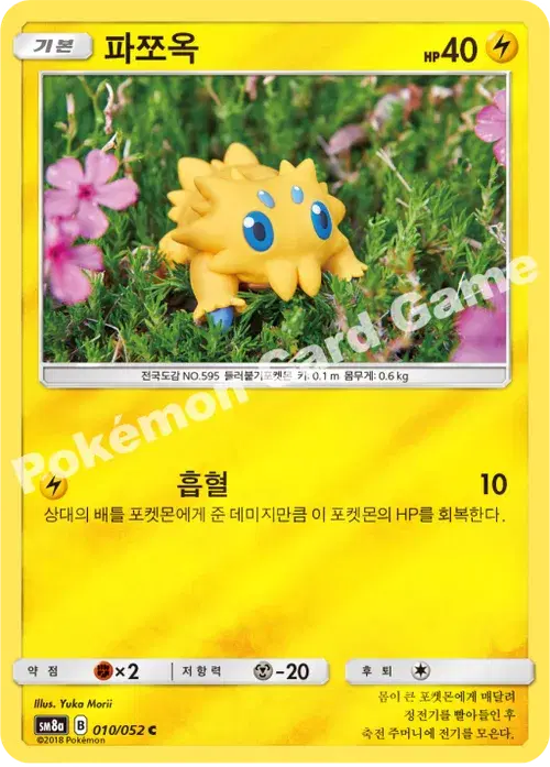 파쪼옥