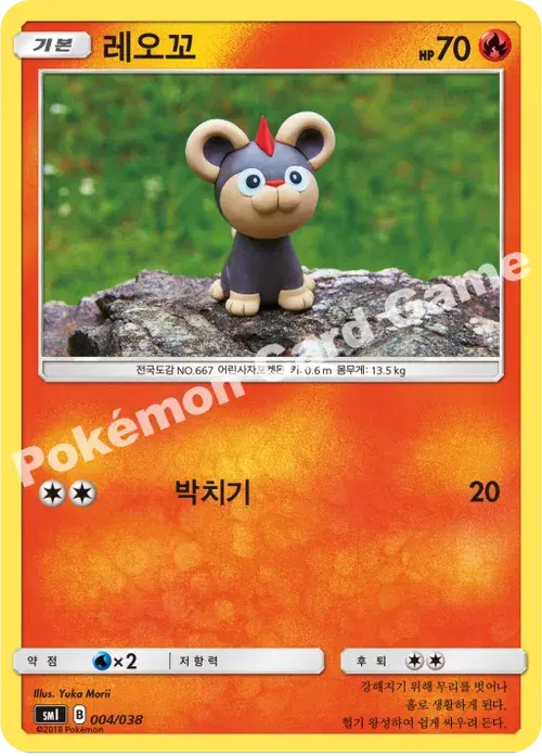 레오꼬