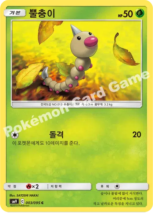 뿔충이
