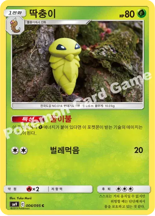 딱충이