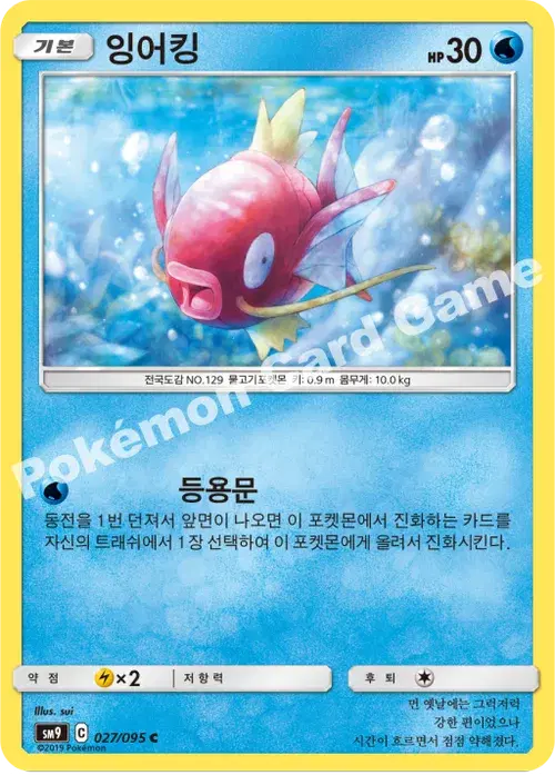 잉어킹