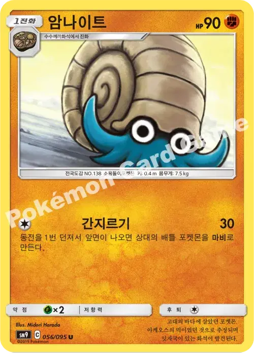 암나이트