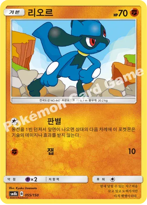 리오르