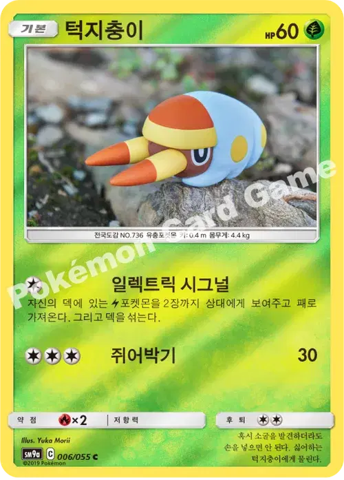 턱지충이
