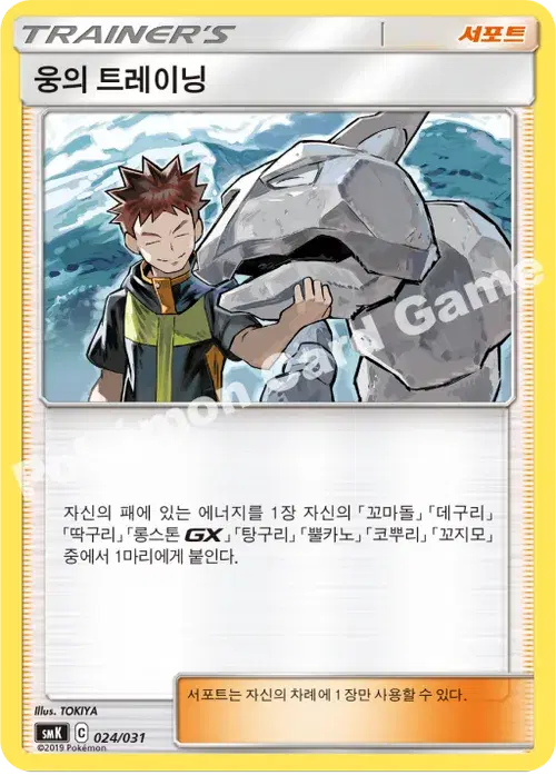 웅의 트레이닝