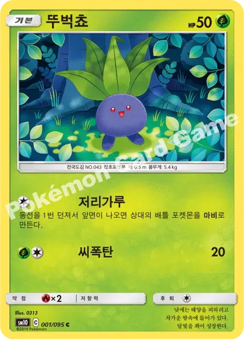 뚜벅쵸