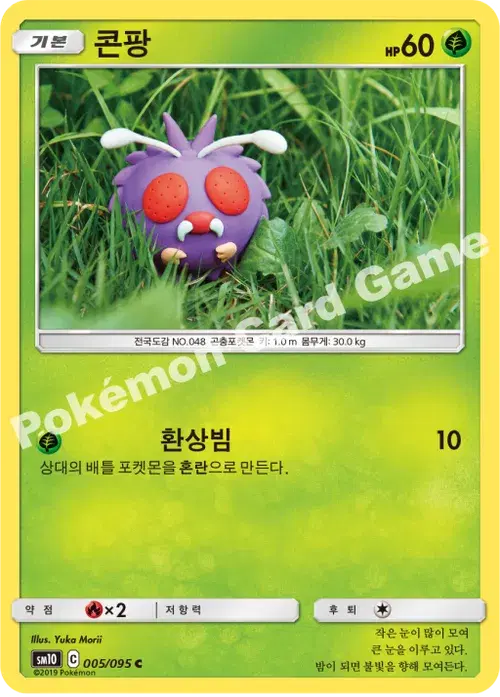 콘팡