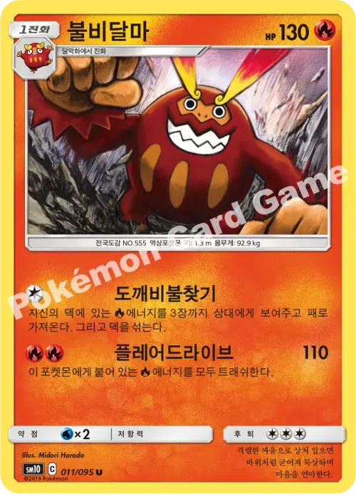 불비달마