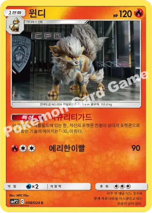 윈디