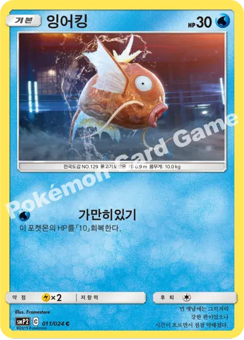 잉어킹