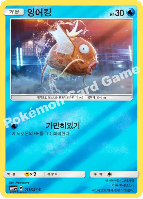 잉어킹