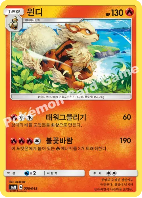 윈디