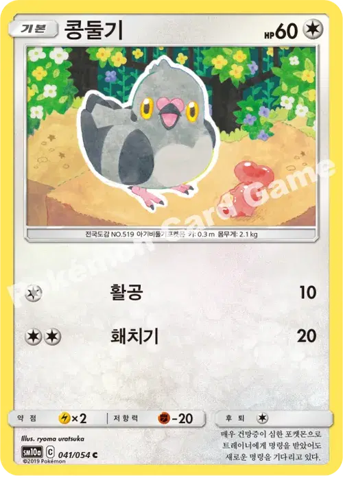콩둘기