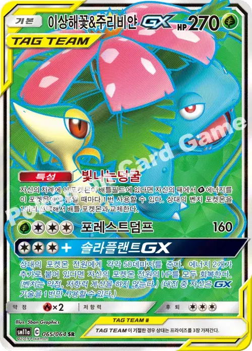 이상해꽃&주리비얀 GX