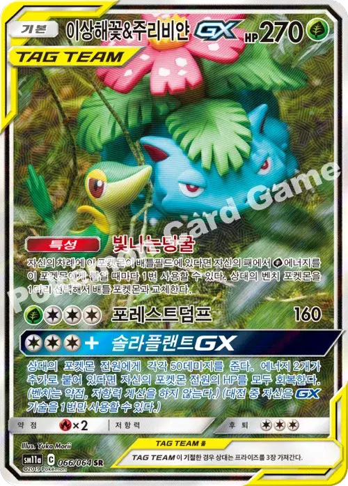 이상해꽃&주리비얀 GX