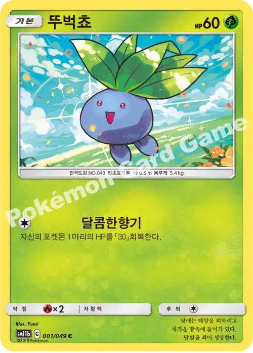 뚜벅쵸