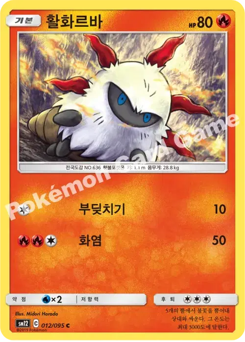 활화르바