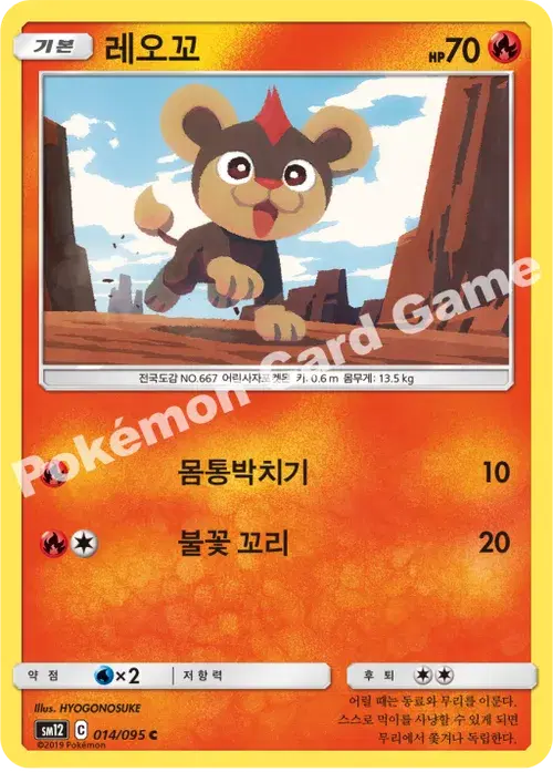 레오꼬
