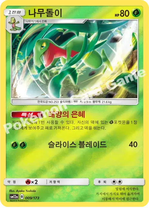 나무돌이