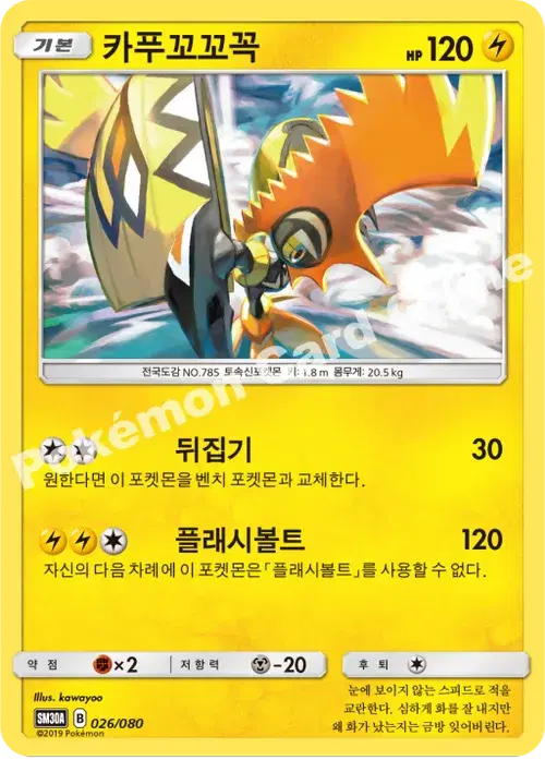 카푸꼬꼬꼭